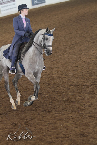 2012 Scottsdale Show | Days 1 & 2