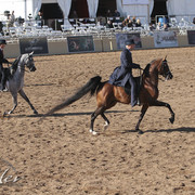 2012 Scottsdale Show | Days 1 & 2