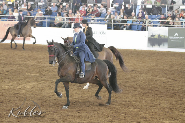 2012 Scottsdale Show | Days 1 & 2