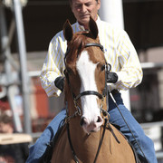 2012 Scottsdale Show | Days 1 & 2