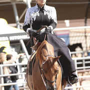 2012 Scottsdale Show | Days 1 & 2