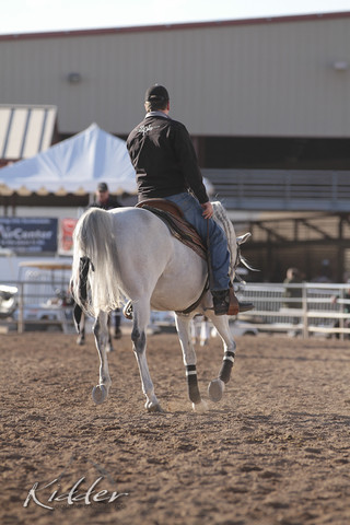 2012 Scottsdale Show | Days 1 & 2