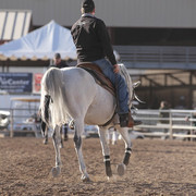 2012 Scottsdale Show | Days 1 & 2