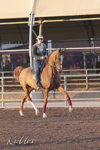 2012 Scottsdale Show | Days 1 & 2