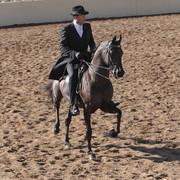 2012 Scottsdale Show | Days 1 & 2