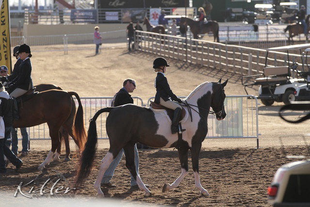 2012 Scottsdale Show | Days 1 & 2