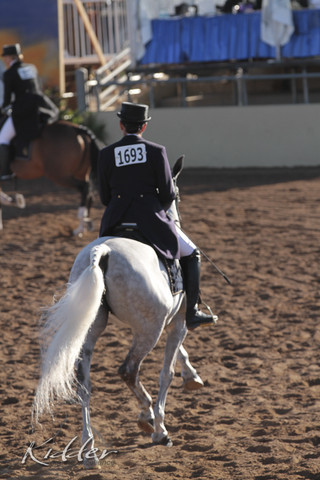 2012 Scottsdale Show | Days 1 & 2