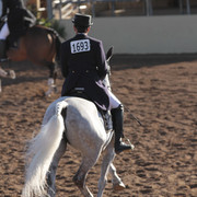 2012 Scottsdale Show | Days 1 & 2