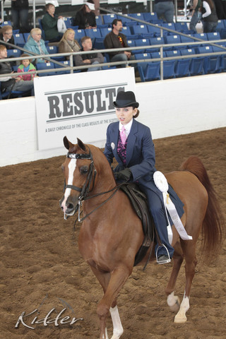 2012 Scottsdale Show | Days 1 & 2