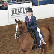 2012 Scottsdale Show | Days 1 & 2