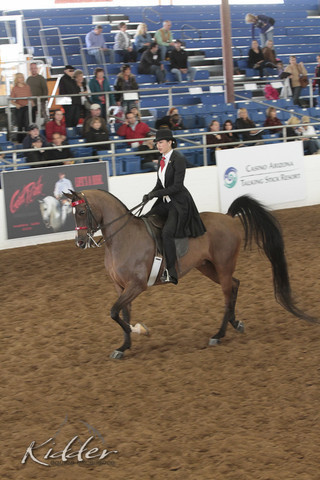 2012 Scottsdale Show | Days 1 & 2