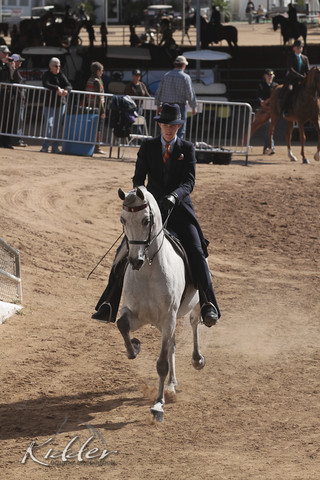 2012 Scottsdale Show | Days 1 & 2