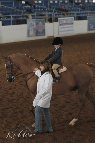 2012 Scottsdale Show | Days 1 & 2