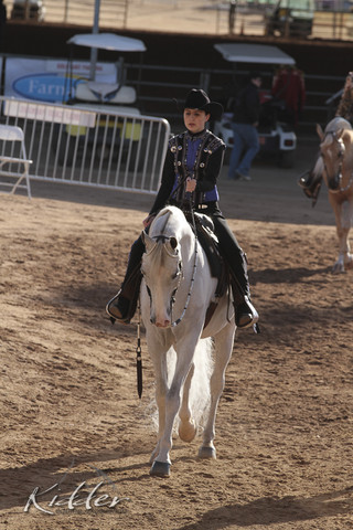 2012 Scottsdale Show | Days 1 & 2