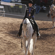 2012 Scottsdale Show | Days 1 & 2