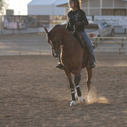 2012 Scottsdale Show | Days 1 & 2