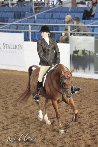 2012 Scottsdale Show | Days 1 & 2