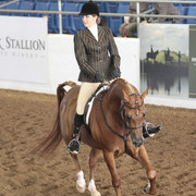 2012 Scottsdale Show | Days 1 & 2