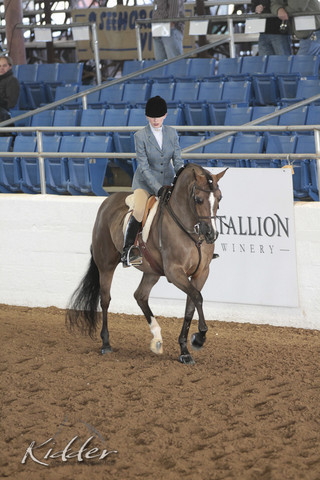 2012 Scottsdale Show | Days 1 & 2