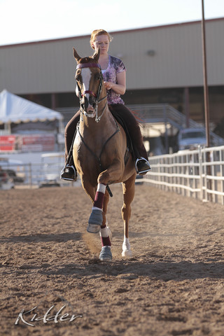 2012 Scottsdale Show | Days 1 & 2