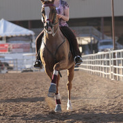 2012 Scottsdale Show | Days 1 & 2