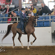 2012 Scottsdale Show | Days 1 & 2