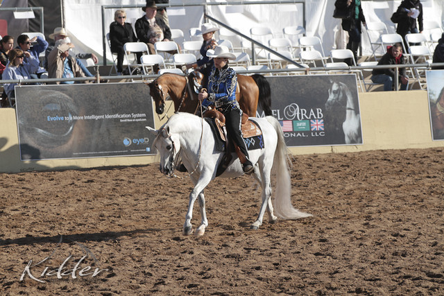 2012 Scottsdale Show | Days 1 & 2