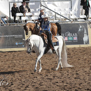 2012 Scottsdale Show | Days 1 & 2
