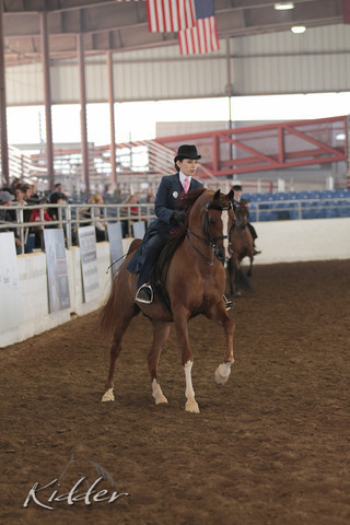 2012 Scottsdale Show | Days 1 & 2