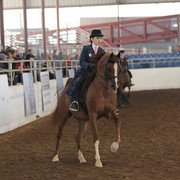 2012 Scottsdale Show | Days 1 & 2