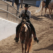 2012 Scottsdale Show | Days 1 & 2