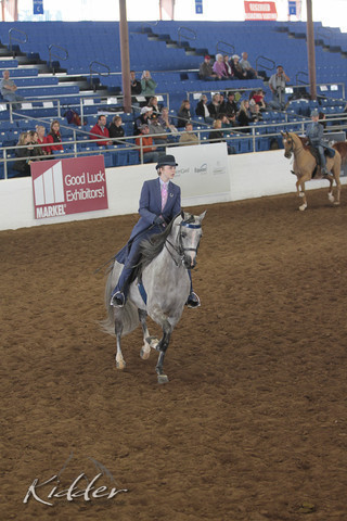 2012 Scottsdale Show | Days 1 & 2