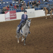 2012 Scottsdale Show | Days 1 & 2
