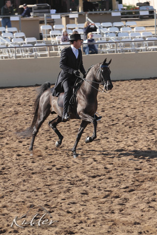2012 Scottsdale Show | Days 1 & 2
