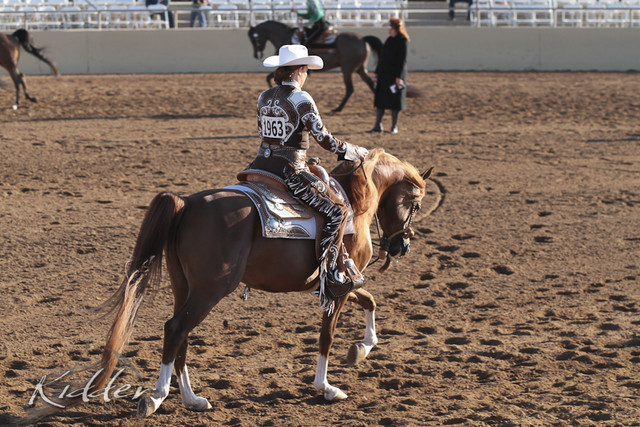 2012 Scottsdale Show | Days 1 & 2