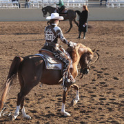 2012 Scottsdale Show | Days 1 & 2