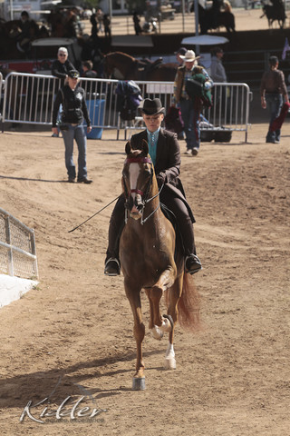 2012 Scottsdale Show | Days 1 & 2