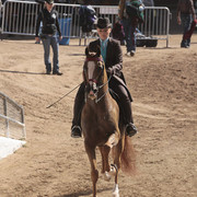 2012 Scottsdale Show | Days 1 & 2