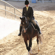 2012 Scottsdale Show | Days 1 & 2