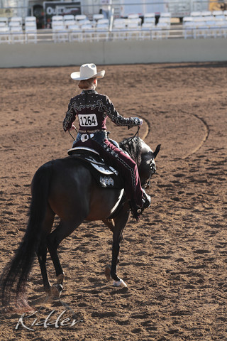2012 Scottsdale Show | Days 1 & 2
