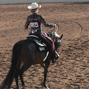 2012 Scottsdale Show | Days 1 & 2