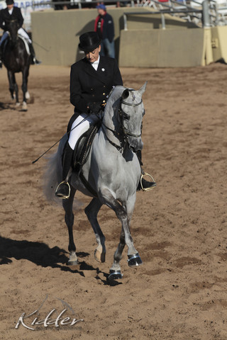 2012 Scottsdale Show | Days 1 & 2