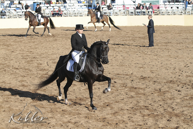 2012 Scottsdale Show | Days 1 & 2