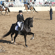 2012 Scottsdale Show | Days 1 & 2