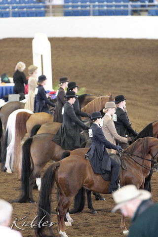 2012 Scottsdale Show | Days 1 & 2