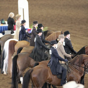 2012 Scottsdale Show | Days 1 & 2
