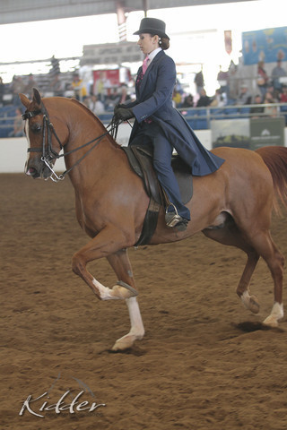 2012 Scottsdale Show | Days 1 & 2
