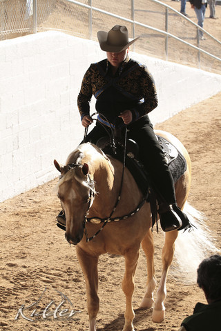 2012 Scottsdale Show | Days 1 & 2