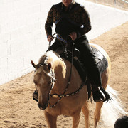 2012 Scottsdale Show | Days 1 & 2