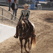 2012 Scottsdale Show | Days 1 & 2